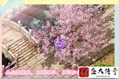 ������Ϸ��ζ֮�������