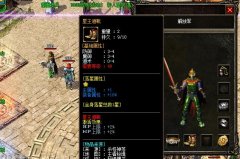 �¿���ʢ����װ������������ʲô����