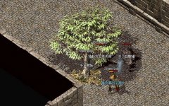 ���������ǻ�ø�����Դ�ر��Ĺؼ�����