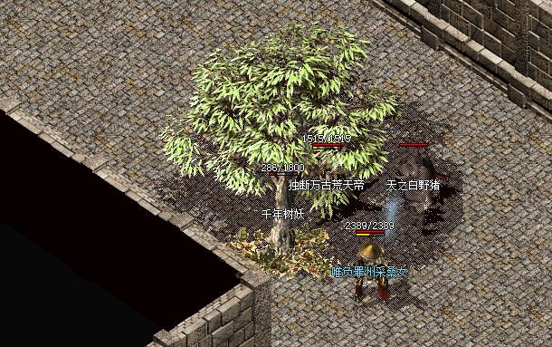 ���������ǻ�ø�����Դ�ر��Ĺؼ�����