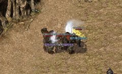 ��ʢ����ϻ����߿���ֱ����ܻ�ӭ