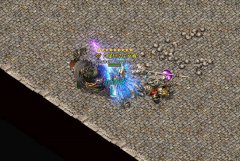 ���Ŷ���Ԫ����ȡ�Ĳ�̬ͬ��