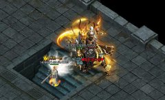 SF999�������ַƽ̨ÿ�ջ��·��Ƽ�