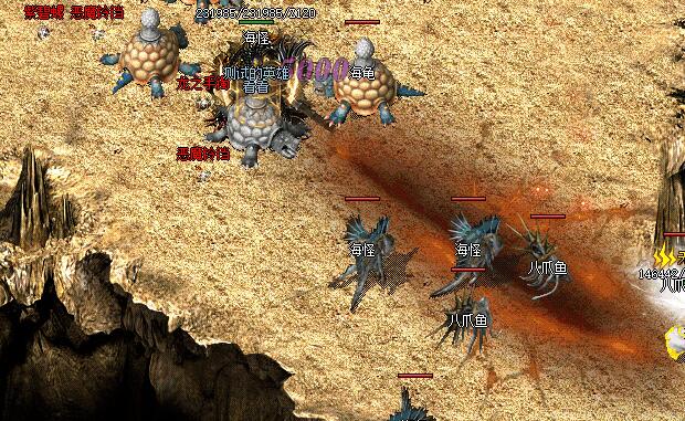 ��̬���������и�65535��������