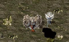 ��Ӱ֩�룺��Ϸ�е�������в